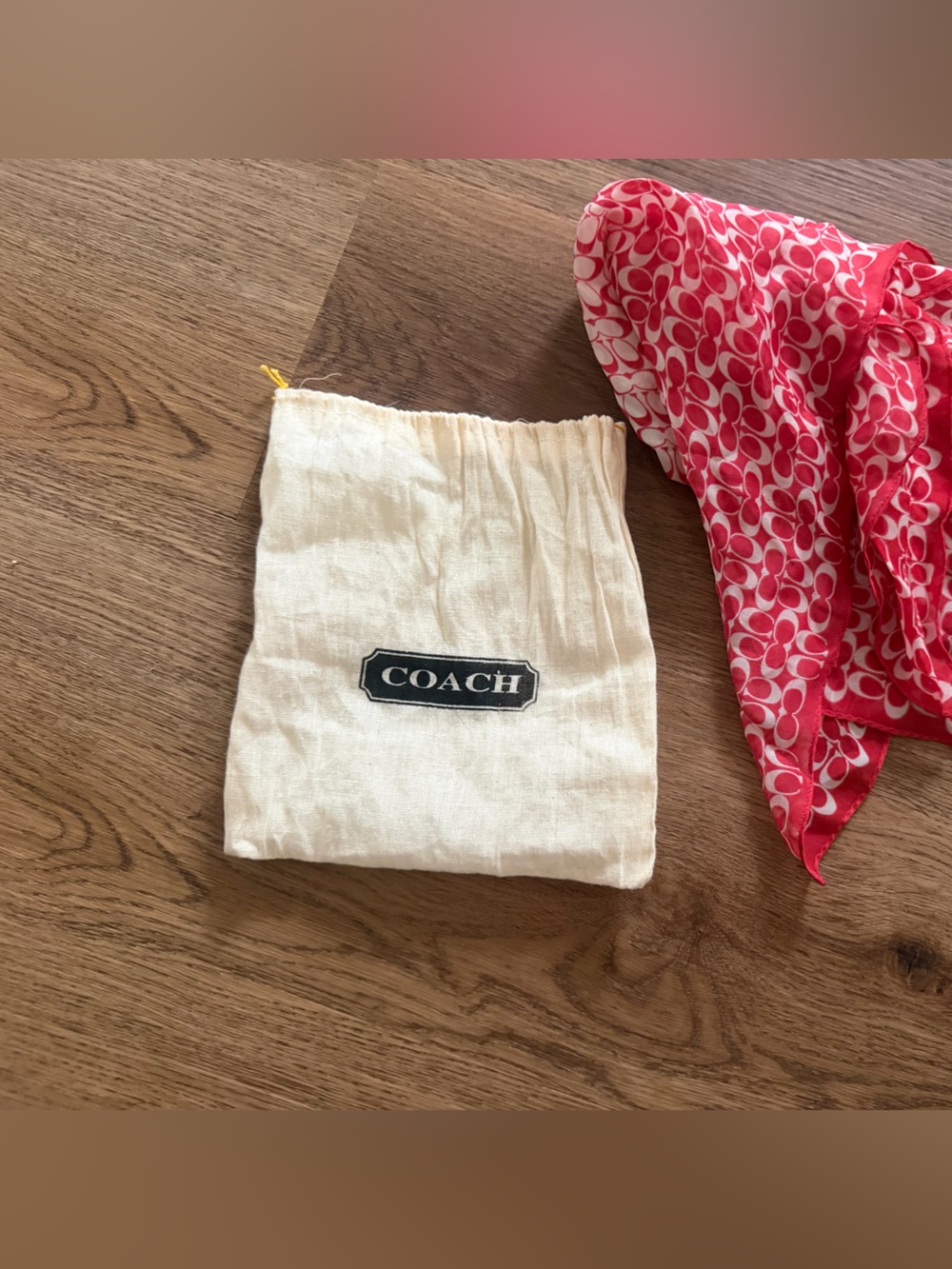 Coach scarf with dust bag